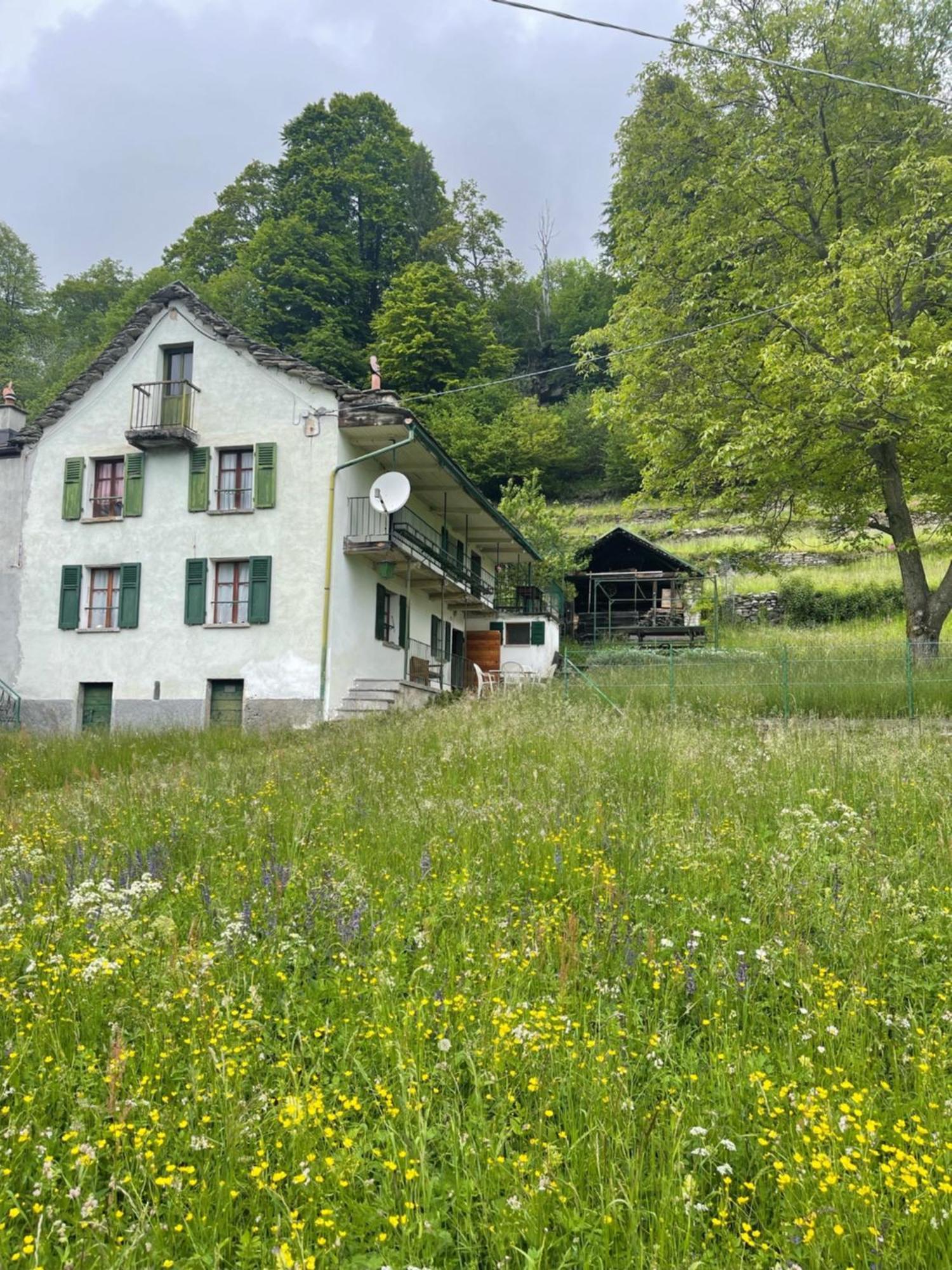 Appartamento La Casa di Sissy Trasquera Esterno foto